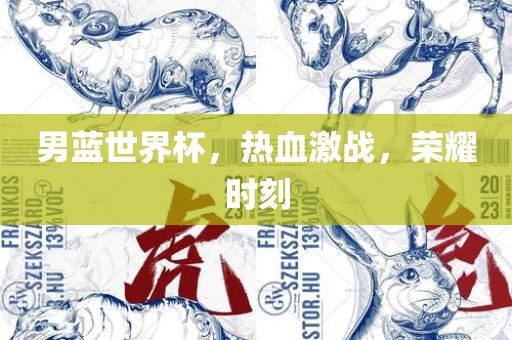 男蓝世界杯，热血激战，荣耀时刻