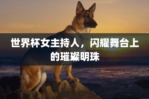 世界杯女主持人，闪耀舞台上的璀璨明珠
