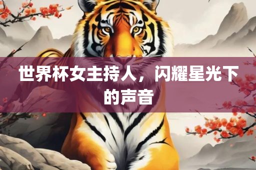 世界杯女主持人，闪耀星光下的声音