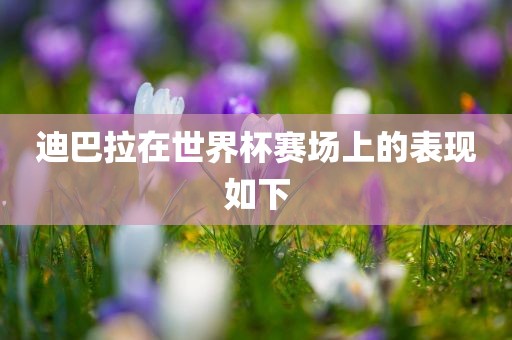 迪巴拉在世界杯赛场上的表现如下
