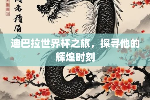 迪巴拉世界杯之旅，探寻他的辉煌时刻眉山市正发家政服务有限公司
