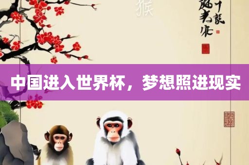 中国进入世界杯，梦想照进现实