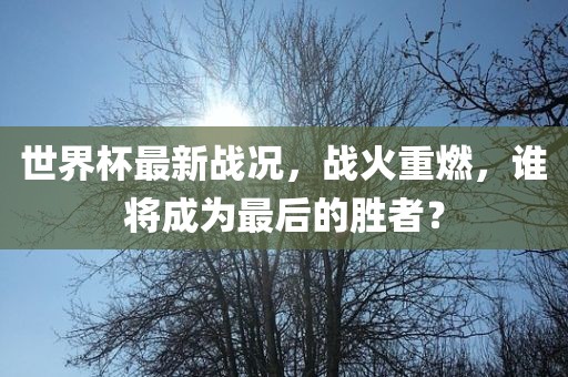 世界杯最新战况，战火重燃，谁将成为最后的胜者？眉山市正发家政服务有限公司