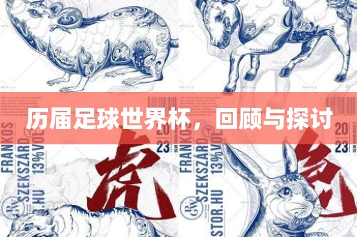 历届足球世界眉山市正发家政服务有限公司杯，回顾与探讨