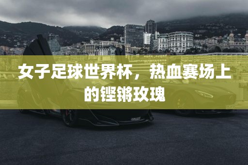 女子足球世界杯，热血赛场上的铿锵玫瑰