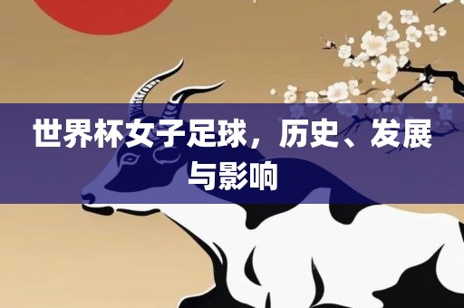 世界杯女子足球，历史、发展与影响眉山市正发家政服务有限公司