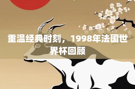 世界杯回顾 第2页