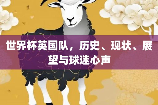 世界杯英国队，历史、现状、展望与球迷心声眉山市正发家政服务有限公司