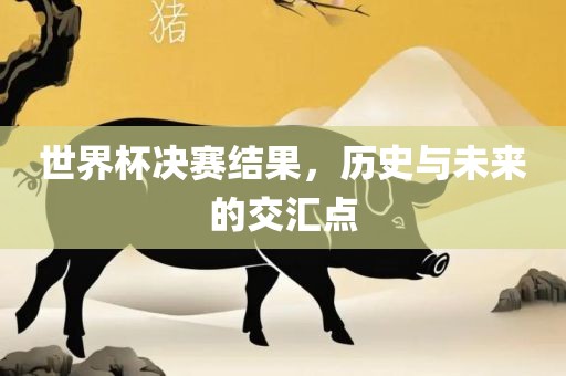 世界杯决赛结果，历史与未来的交汇点