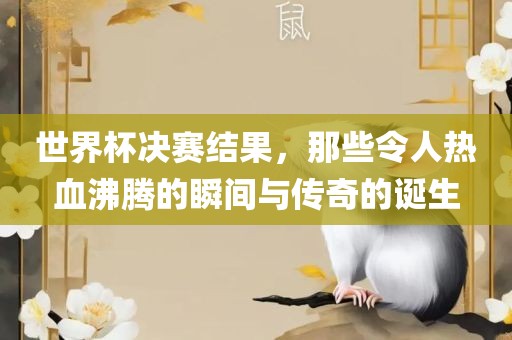 世界杯决赛结果，那些令人热血沸腾的瞬间与传奇的诞生