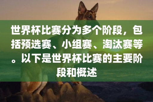 比赛阶段（预选赛