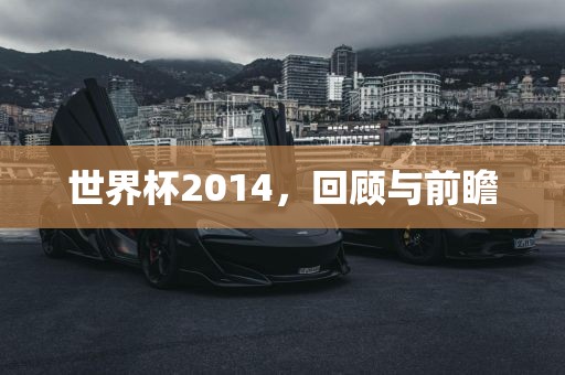 世界杯2014，回顾与前瞻