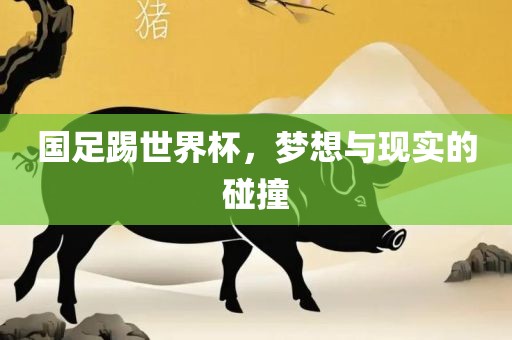 国足踢世界杯，梦想与现实的碰撞