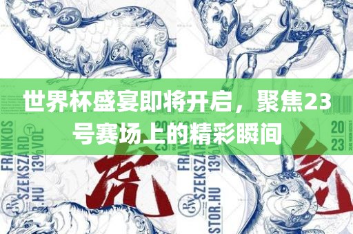世界杯盛宴即将开启，聚焦23号赛场上的精彩瞬间