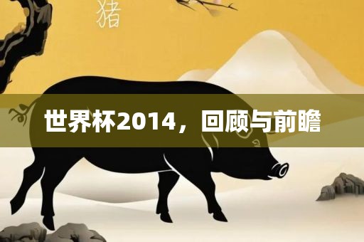 世界杯2014，回顾与前瞻