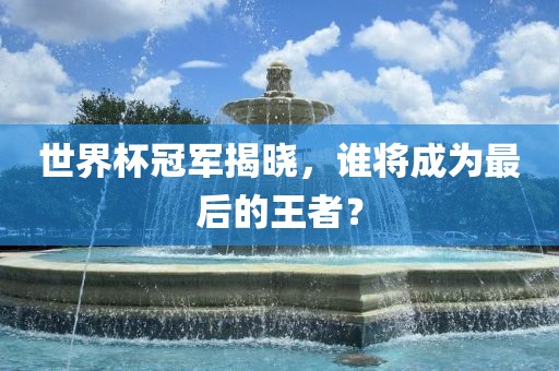 世界杯冠军揭晓，谁将成为最后的王者眉山市正发家政服务有限公司？