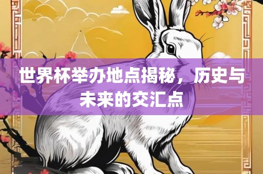世界杯举办地点揭秘，历史与未来的交汇点眉山市正发家政服务有限公司