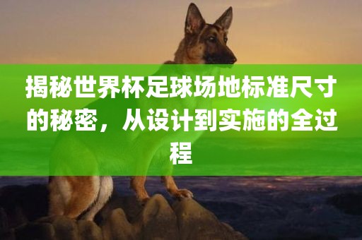 揭秘世界杯足球场地标准尺寸的秘密，从设计到实施的全过程