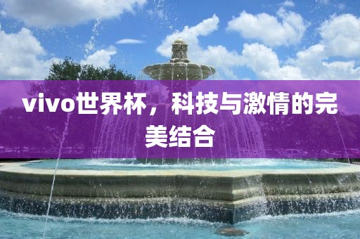 vivo世界杯，科技与激情的完美结合