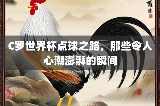 C罗世界杯点球之路，那些令人心潮澎湃的瞬间眉山市正发家政服务有限公司
