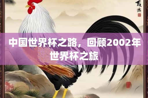中国世界杯之路，回顾2002年世界杯之旅眉山市正发家政服务有限公司