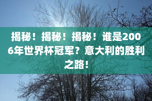 揭秘！揭秘！揭秘！谁是2006年世界杯冠军？意大利的胜利之路！