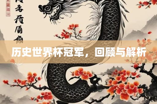 历史世界杯冠军，回顾与解析眉山市正发家政服务有限公司