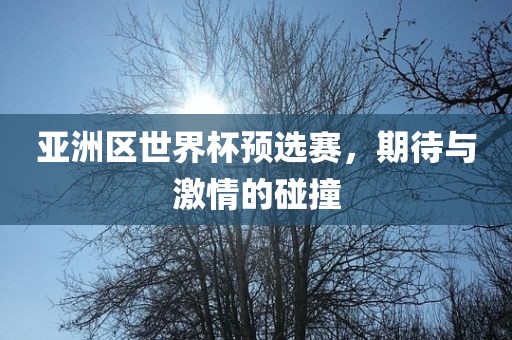 亚洲区世界杯预选赛，期待与激情的碰撞