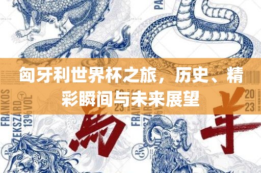 匈牙利世界杯之旅，历史、精彩瞬间与未来展望