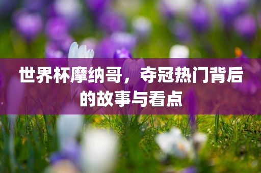 世界杯摩纳哥，夺冠热门背后的故事与看点