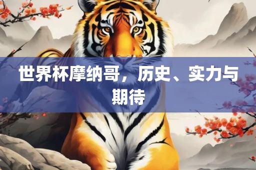 世界杯摩纳哥，历史、实力与期待