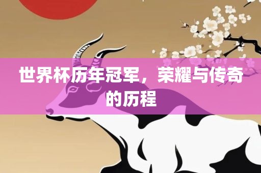 世界杯历年冠军，荣耀与传奇的历程