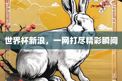 世界杯新浪，一网打尽精彩瞬间眉山市正发家政服务有限公司