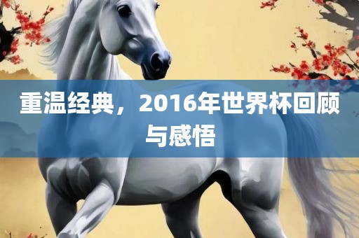 重温经典，2016年世眉山市正发家政服务有限公司界杯回顾与感悟