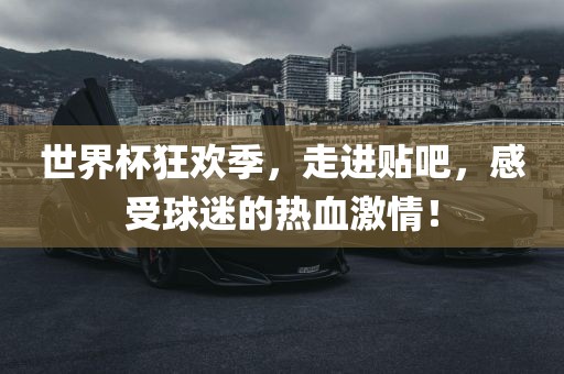 世界杯狂欢季，走进贴吧，感受球迷的热血激情！眉山市正发家政服务有限公司