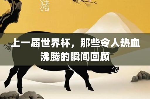 上一届世界杯，那些令人热血沸腾的瞬间回顾