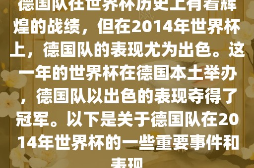 2014年世界杯出色表现