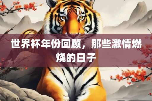 世界杯年份回顾，那些激情燃烧的日子