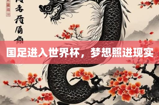 国足进入世界杯，梦想照进现实眉山市正发家政服务有限公司