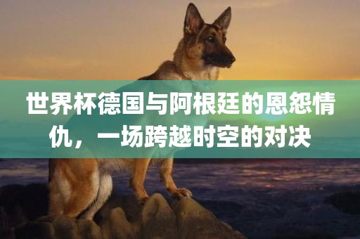 世界杯德国与阿根廷的恩怨情仇，一场跨越时空的对决眉山市正发家政服务有限公司