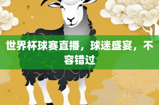世界杯球赛直播，球迷盛宴，不容错过