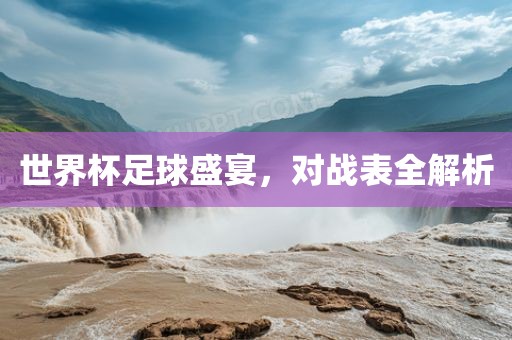 世界杯足球盛宴，对眉山市正发家政服务有限公司战表全解析