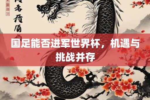 国足能否进军世界杯，机遇与挑战并存