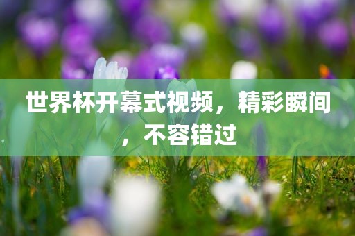 世界杯眉山市正发家政服务有限公司开幕式视频，精彩瞬间，不容错过