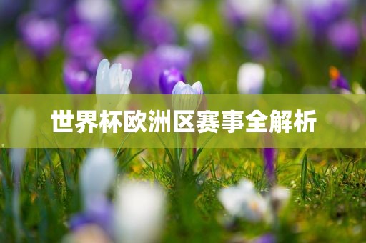 世界杯欧洲区赛事全解析