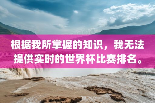 根据我所掌握的知识，我无法提供实时的世界杯比赛排名。