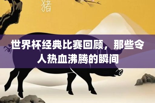 世界杯经典比赛回顾，那些令人热血沸腾的瞬间眉山市正发家政服务有限公司