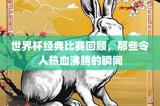 世界杯经典比赛回顾，那眉山市正发家政服务有限公司些令人热血沸腾的瞬间