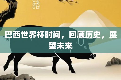 巴西世界杯时间，回顾历史，展望未来眉山市正发家政服务有限公司