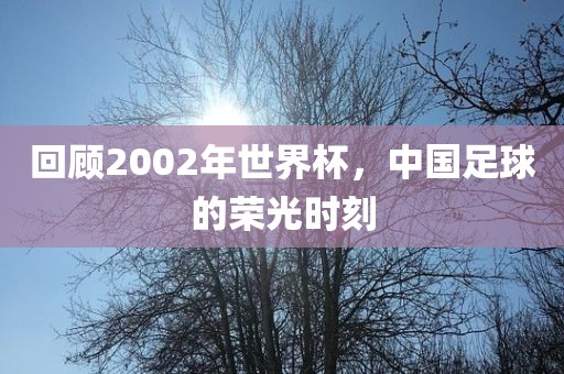 回顾2002年世界杯，中国足球的荣光时刻
